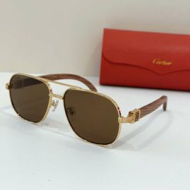Picture of Cartier Sunglasses _SKUfw54107129fw